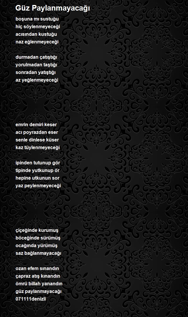 Ozan Efe