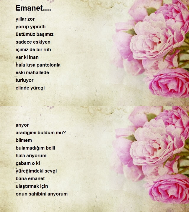 Şimşek Acar