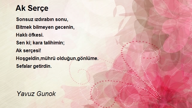 Yavuz Gunok