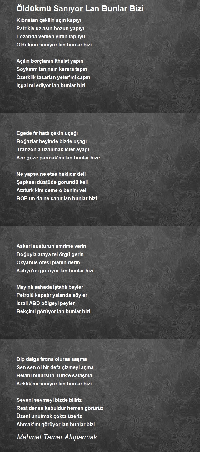 Mehmet Tamer Altıparmak