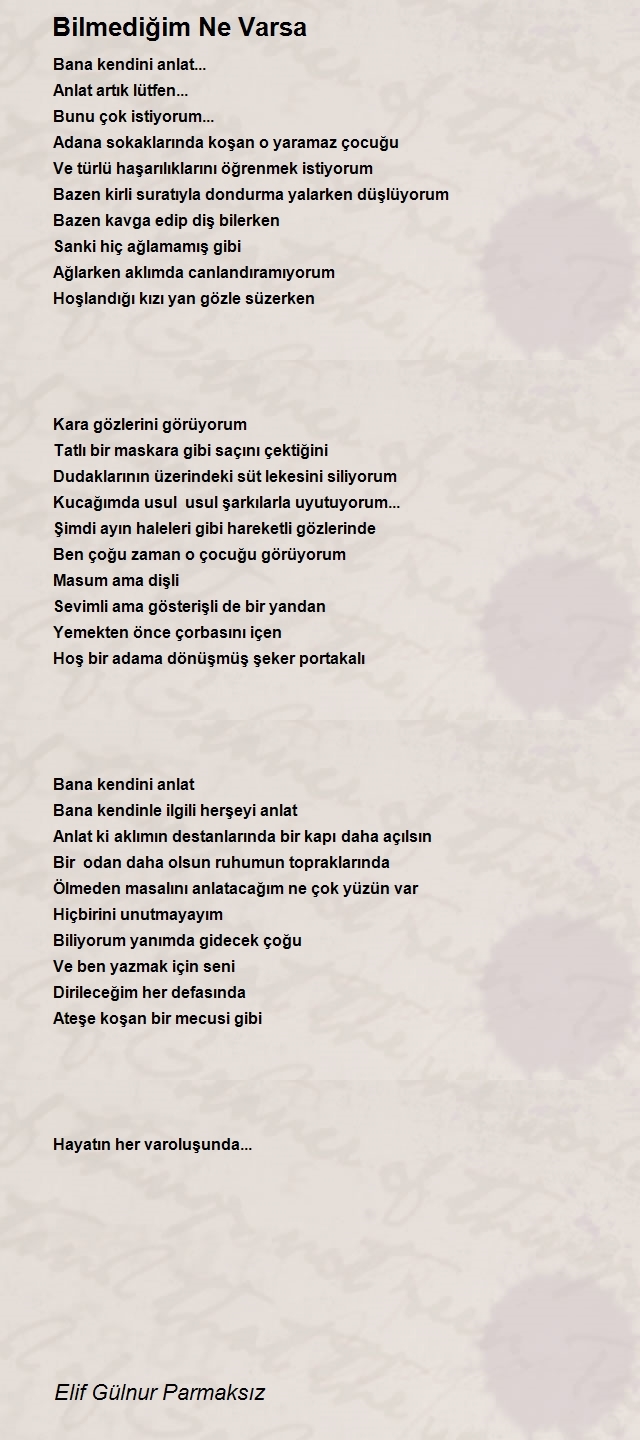 Elif Gülnur Parmaksız