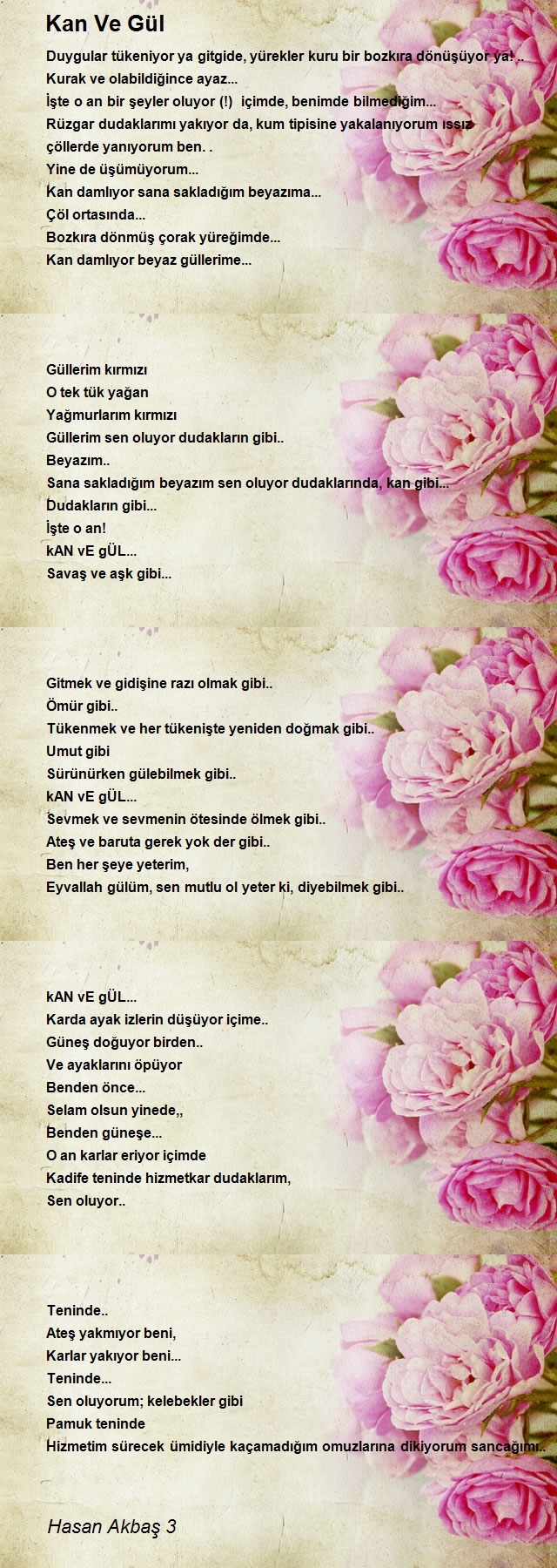 Hasan Akbaş 3