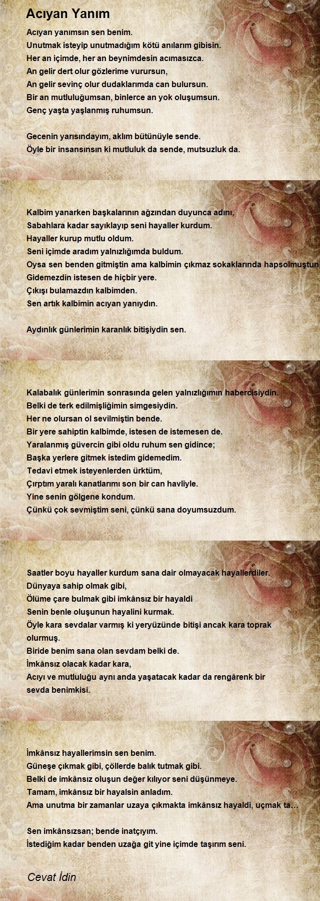 Cevat İdin