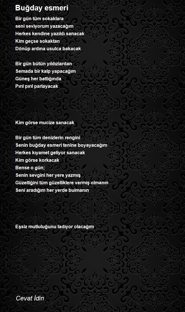Cevat İdin