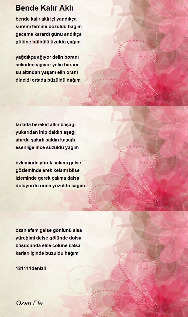 Ozan Efe