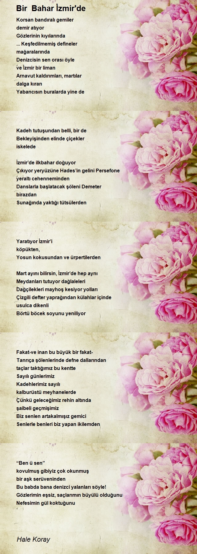 Hale Koray