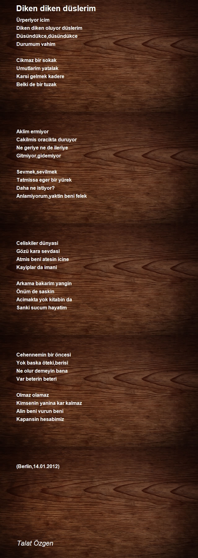 Talat Özgen