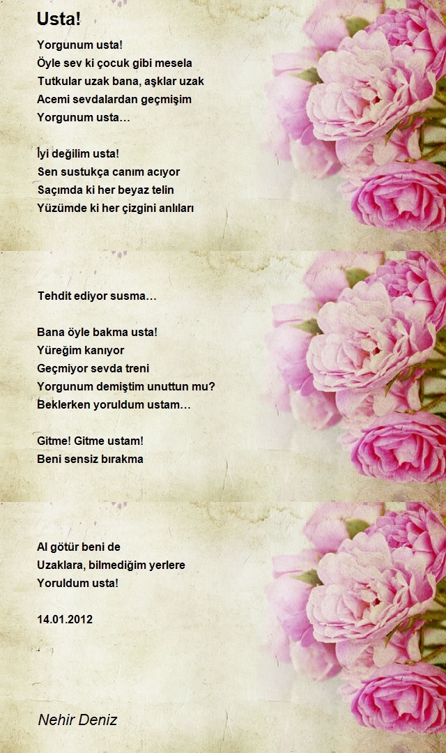 Nehir Deniz