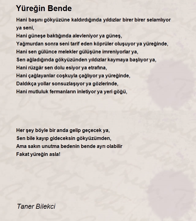 Taner Bilekci