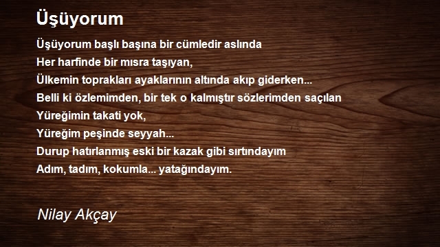 Nilay Akçay