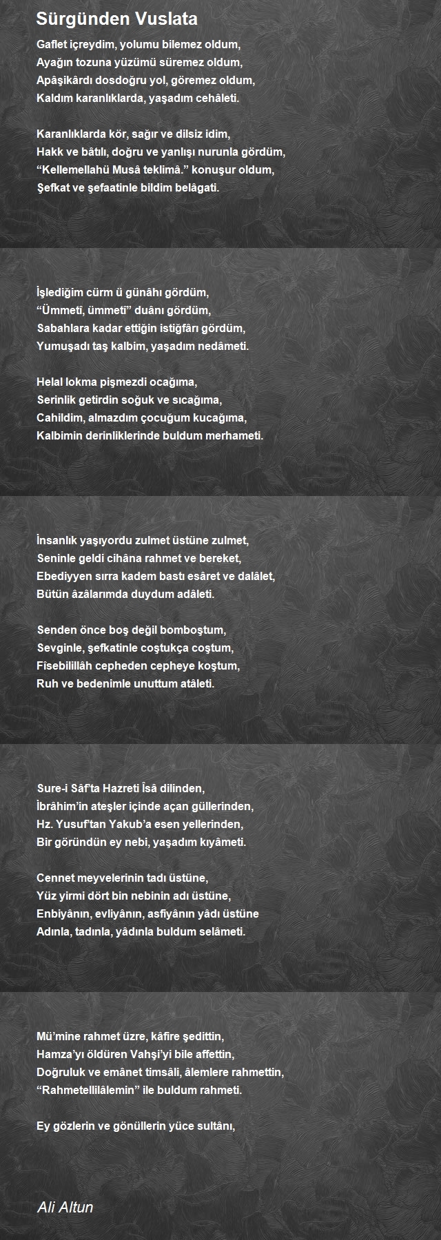 Ali Altun