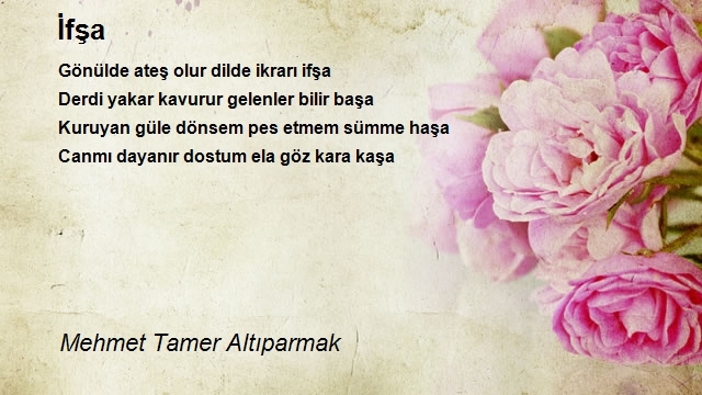 Mehmet Tamer Altıparmak