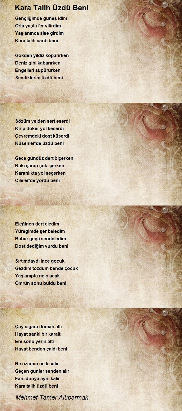 Mehmet Tamer Altıparmak