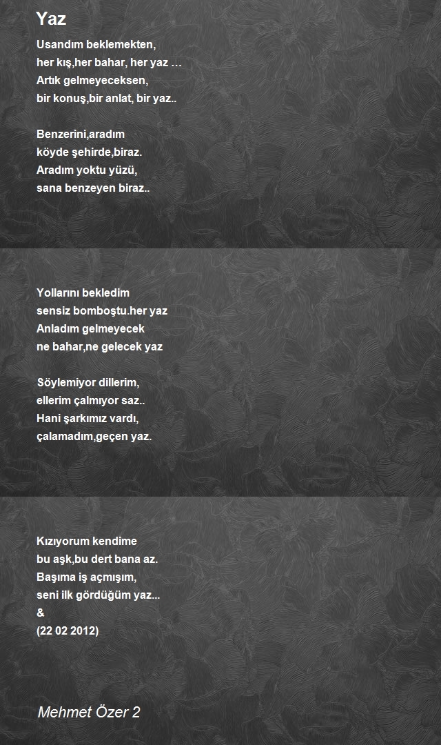 Mehmet Özer 2