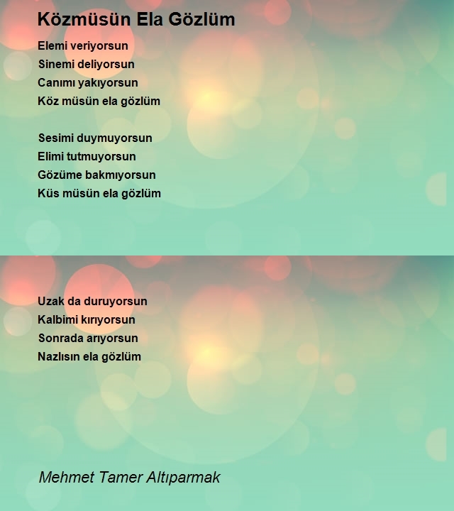 Mehmet Tamer Altıparmak