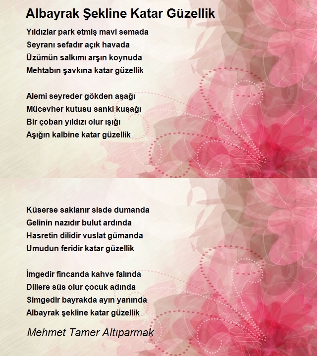Mehmet Tamer Altıparmak