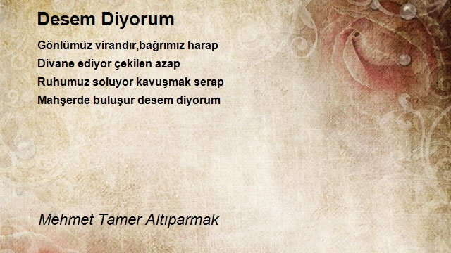 Mehmet Tamer Altıparmak
