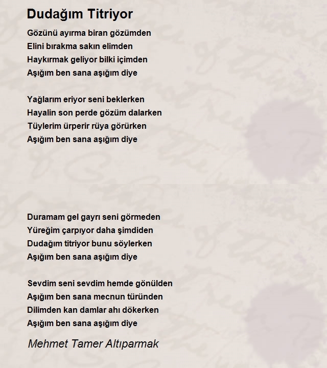 Mehmet Tamer Altıparmak