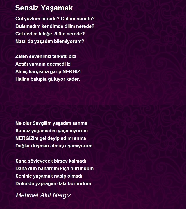 Mehmet Akif Nergiz