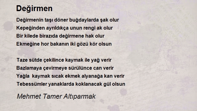 Mehmet Tamer Altıparmak