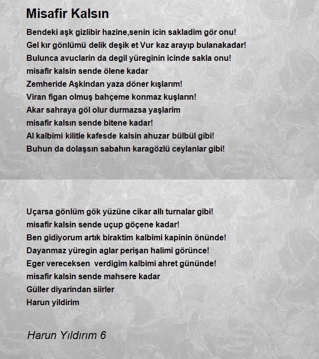 Harun Yıldırım 6