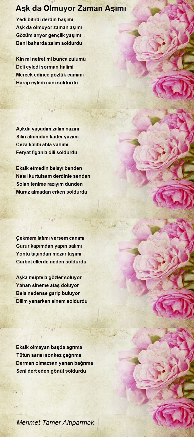 Mehmet Tamer Altıparmak