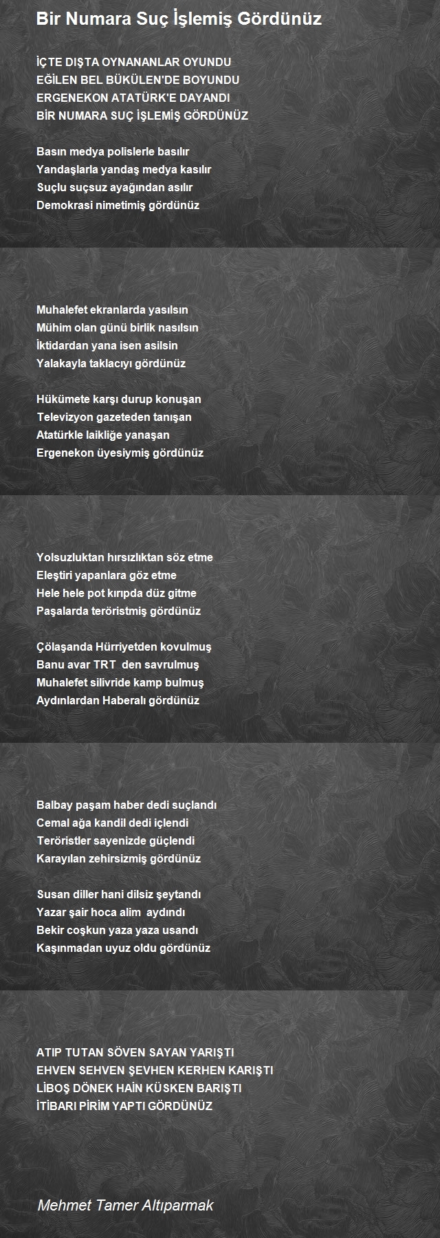 Mehmet Tamer Altıparmak