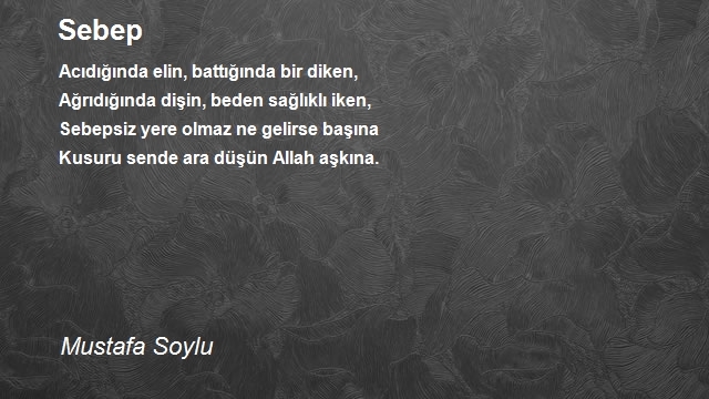 Mustafa Soylu