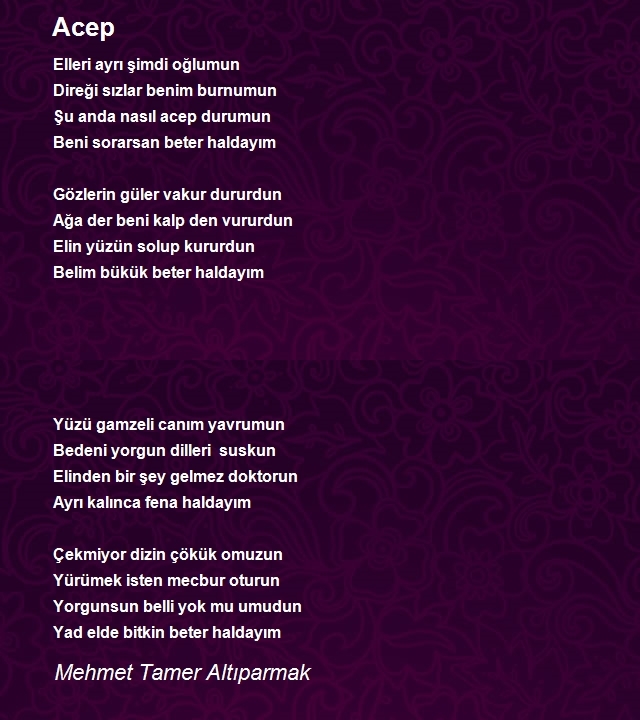 Mehmet Tamer Altıparmak