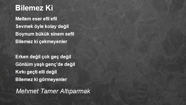 Mehmet Tamer Altıparmak