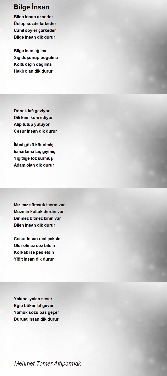 Mehmet Tamer Altıparmak