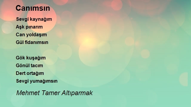 Mehmet Tamer Altıparmak