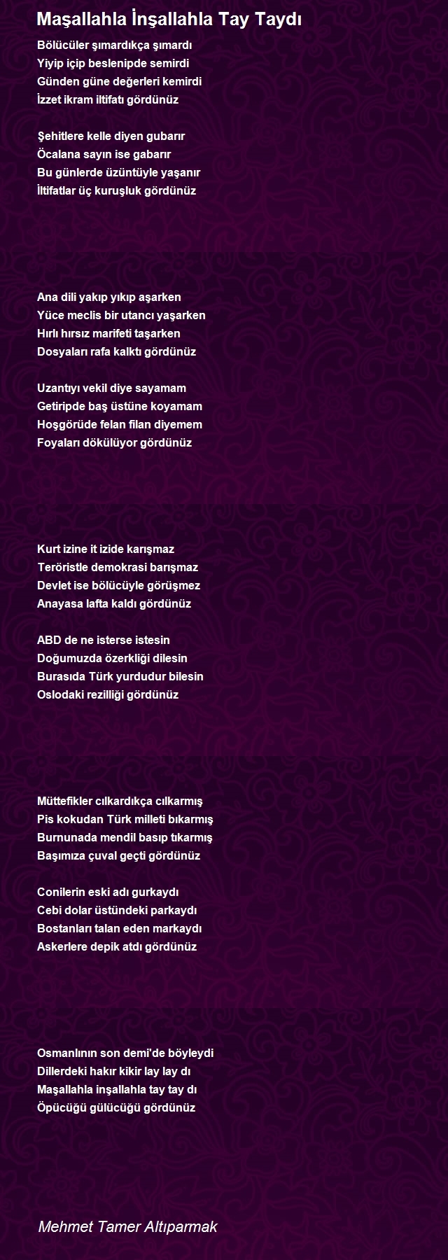 Mehmet Tamer Altıparmak