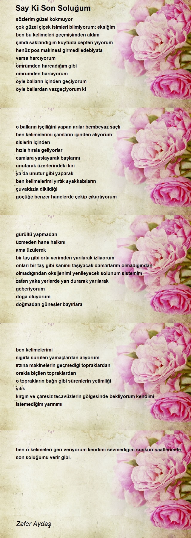 Zafer Aydaş