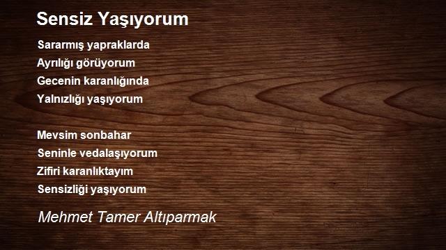 Mehmet Tamer Altıparmak