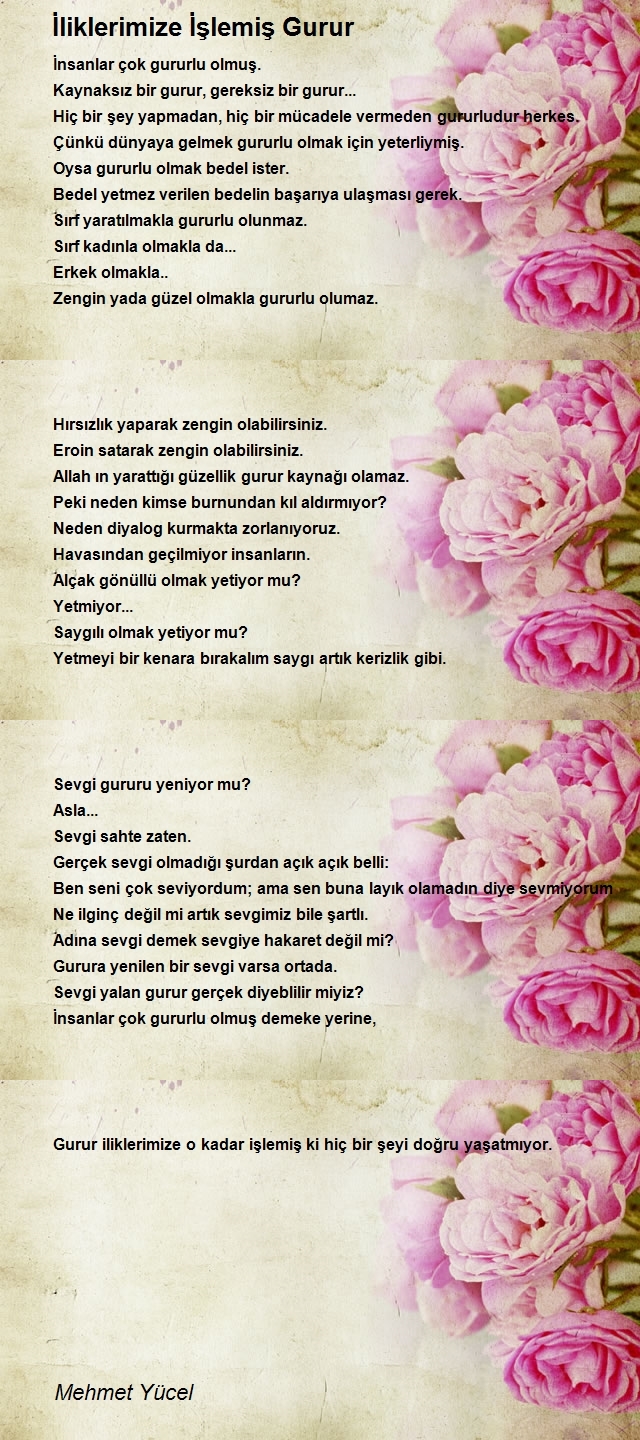 Mehmet Yücel