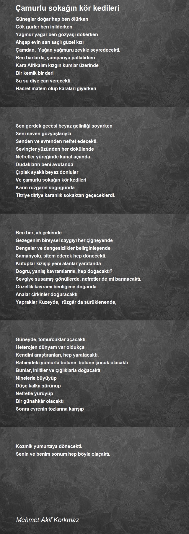 Mehmet Akif Korkmaz