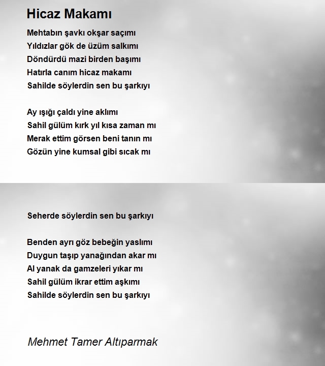 Mehmet Tamer Altıparmak
