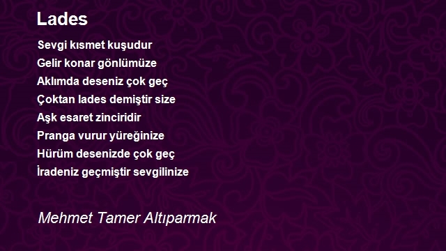 Mehmet Tamer Altıparmak