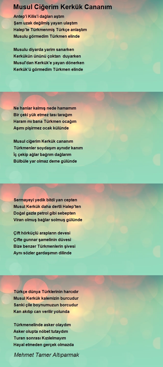Mehmet Tamer Altıparmak