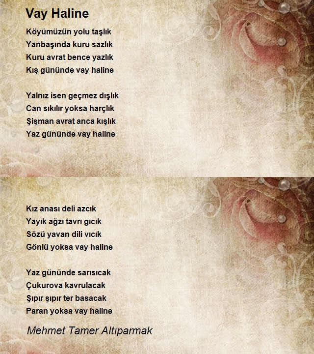 Mehmet Tamer Altıparmak