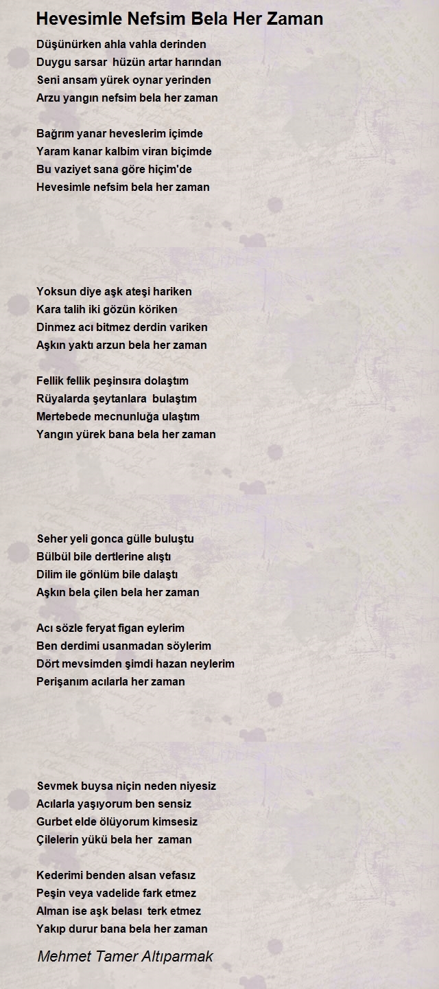 Mehmet Tamer Altıparmak