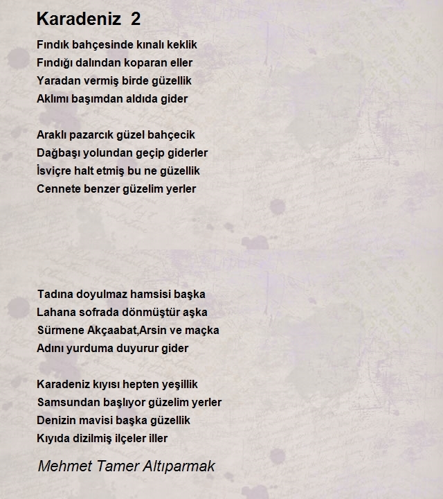 Mehmet Tamer Altıparmak