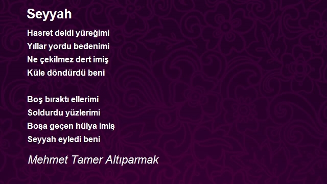 Mehmet Tamer Altıparmak