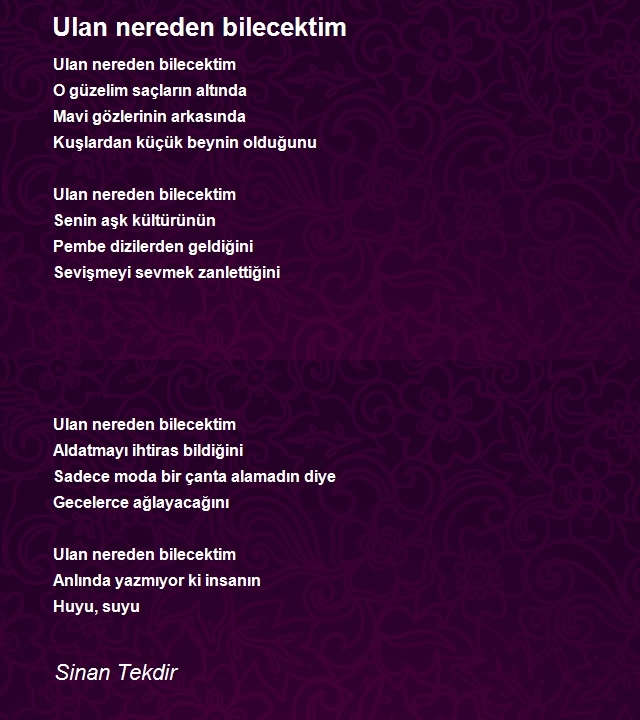 Sinan Tekdir