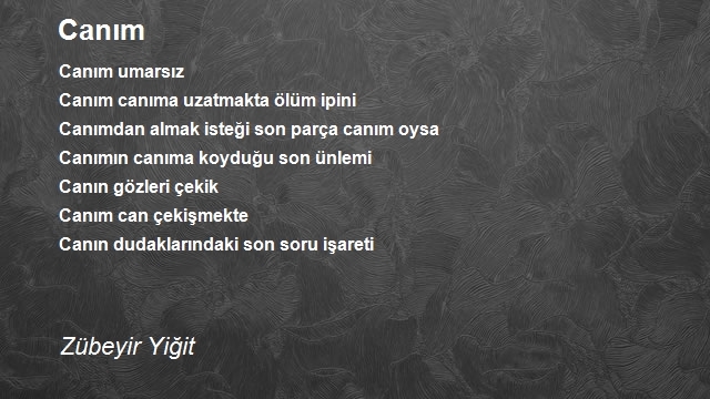 Zübeyir Yiğit