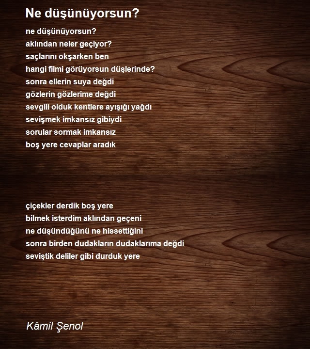 Kâmil Şenol