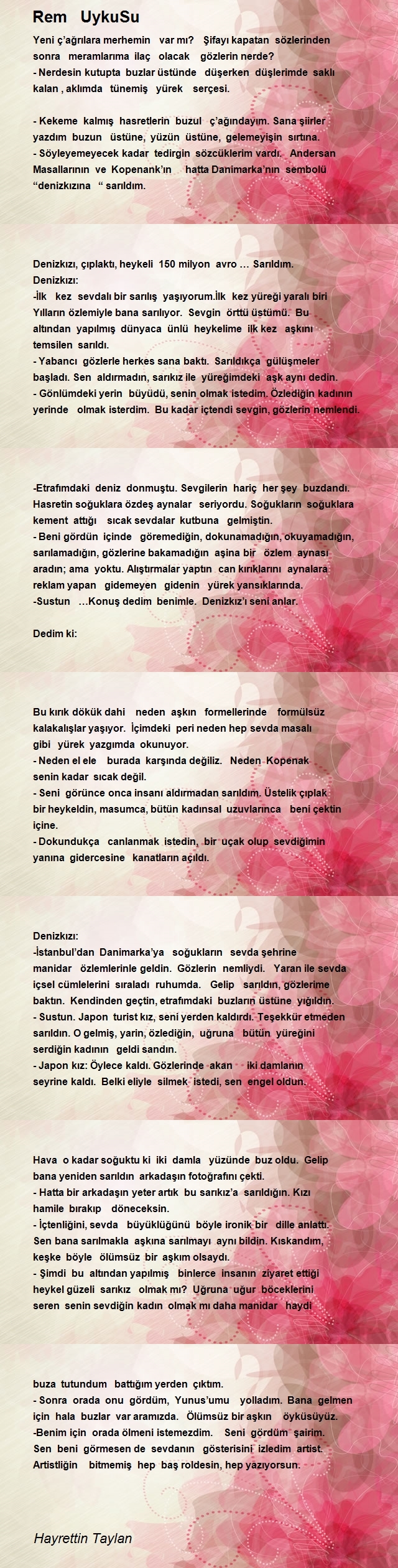Hayrettin Taylan
