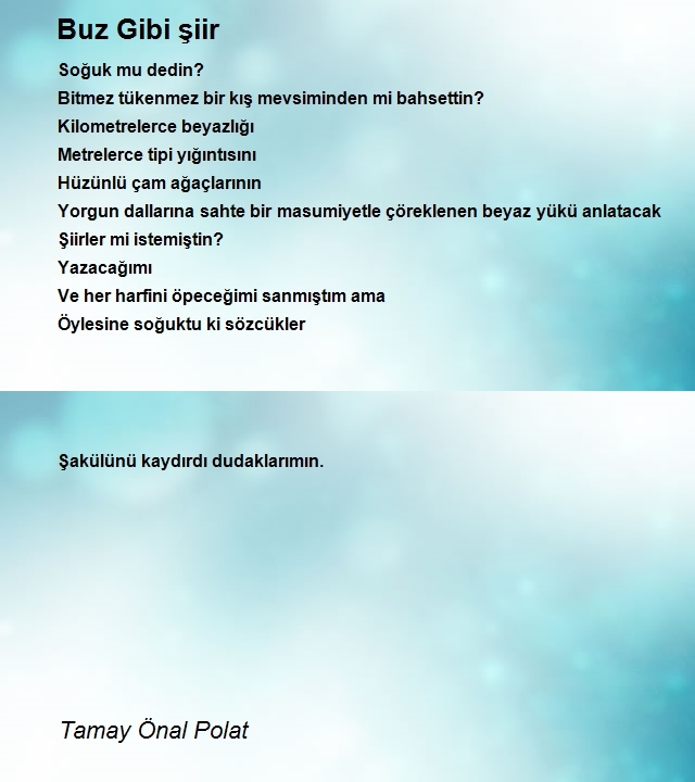 Tamay Önal Polat