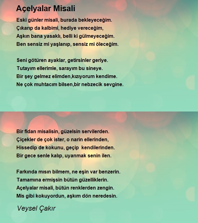 Veysel Çakır